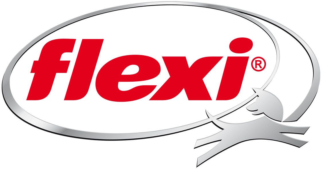 Flexi - logo