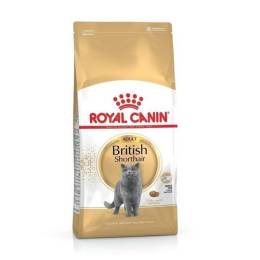 Royal Canin British Shorthair Irka Özel Yetişkin Kedi Maması 2 Kg